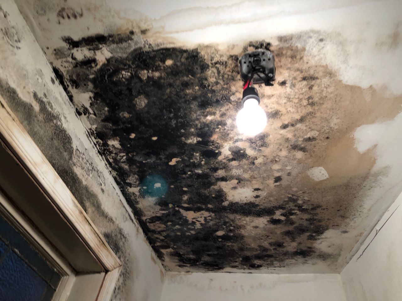 Stop mold growth