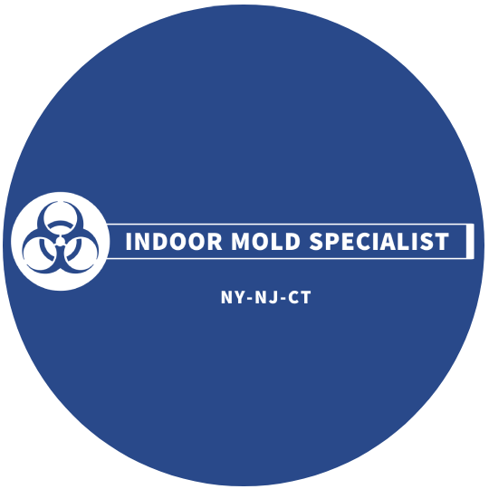 Indoor Mold Specialist