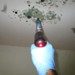 Mold Removal