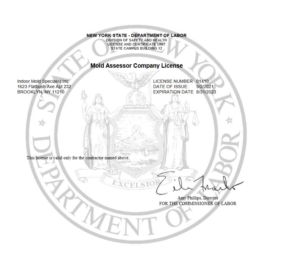Mold Assessor Company License