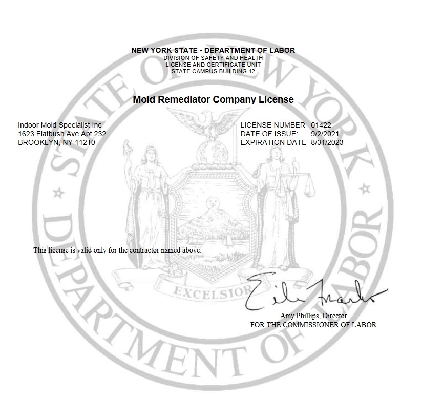 Mold Remediator Company License